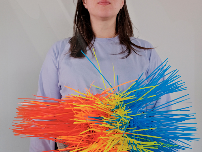 Photo Chindogu hérisson 